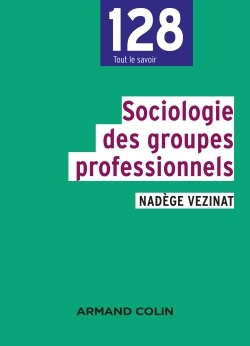 Sociologie des groupes professionnels (9782200611910-front-cover)