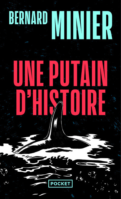 Une putain d'histoire (9782266267779-front-cover)