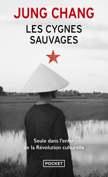 Les cygnes sauvages (9782266227032-front-cover)