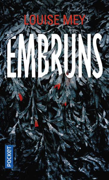 Embruns (9782266286435-front-cover)