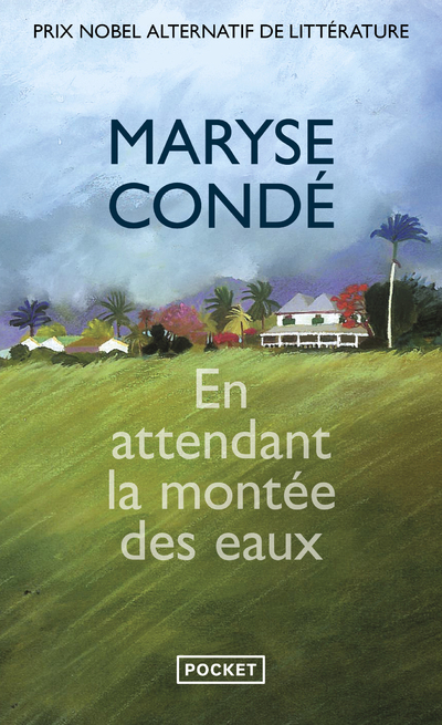 En attendant la montée des eaux (9782266212724-front-cover)