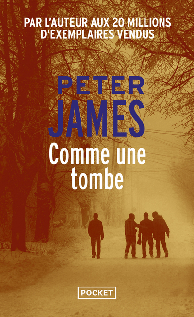 Comme une tombe (9782266204385-front-cover)