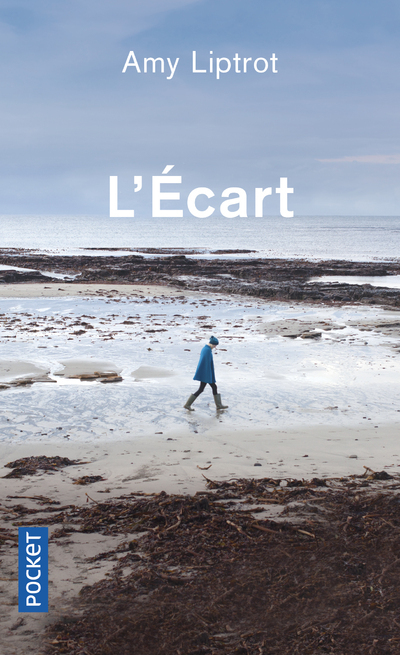 L'Ecart (9782266295833-front-cover)