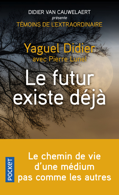 Le futur existe déjà (9782266280303-front-cover)