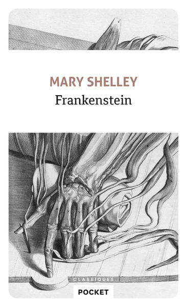 Frankenstein (9782266288590-front-cover)