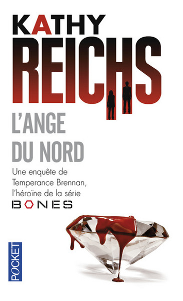 L'Ange du Nord (9782266256346-front-cover)
