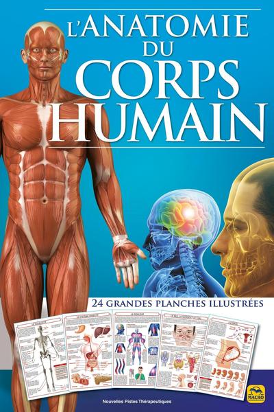 L'anatomie du corps humain, 24 grandes planches décrivant les différentes parties du corps (9788828517344-front-cover)