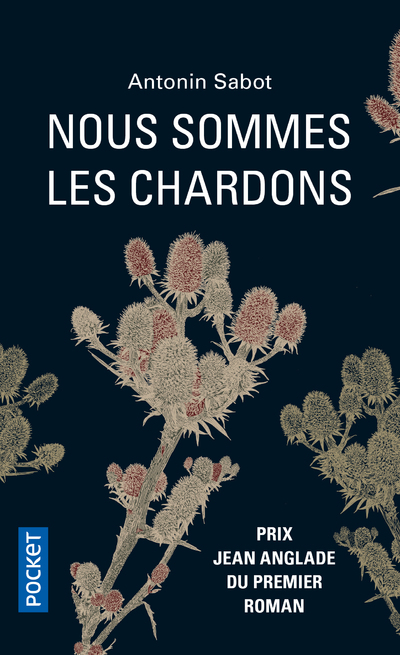 Nous sommes les chardons (9782266319898-front-cover)