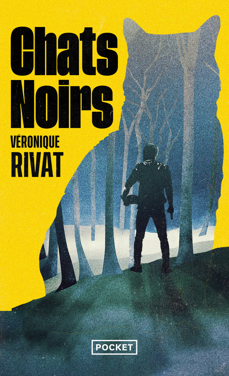 Chats noirs (9782266356893-front-cover)
