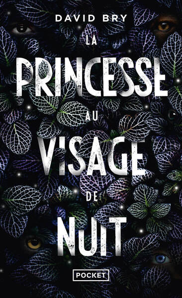 La Princesse au visage de nuit (9782266322126-front-cover)
