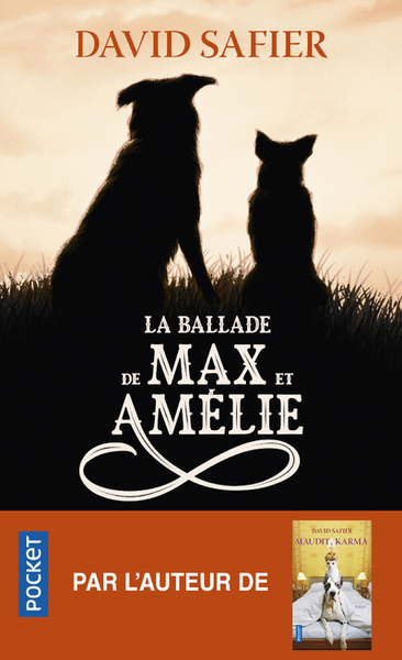 La Ballade de Max et Amélie (9782266312998-front-cover)