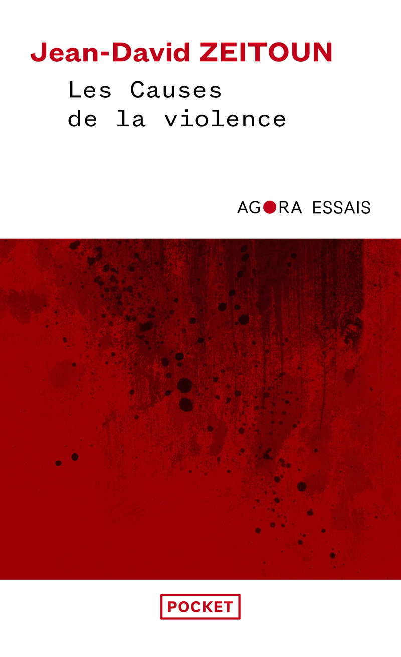 Les Causes de la violence (9782266352673-front-cover)