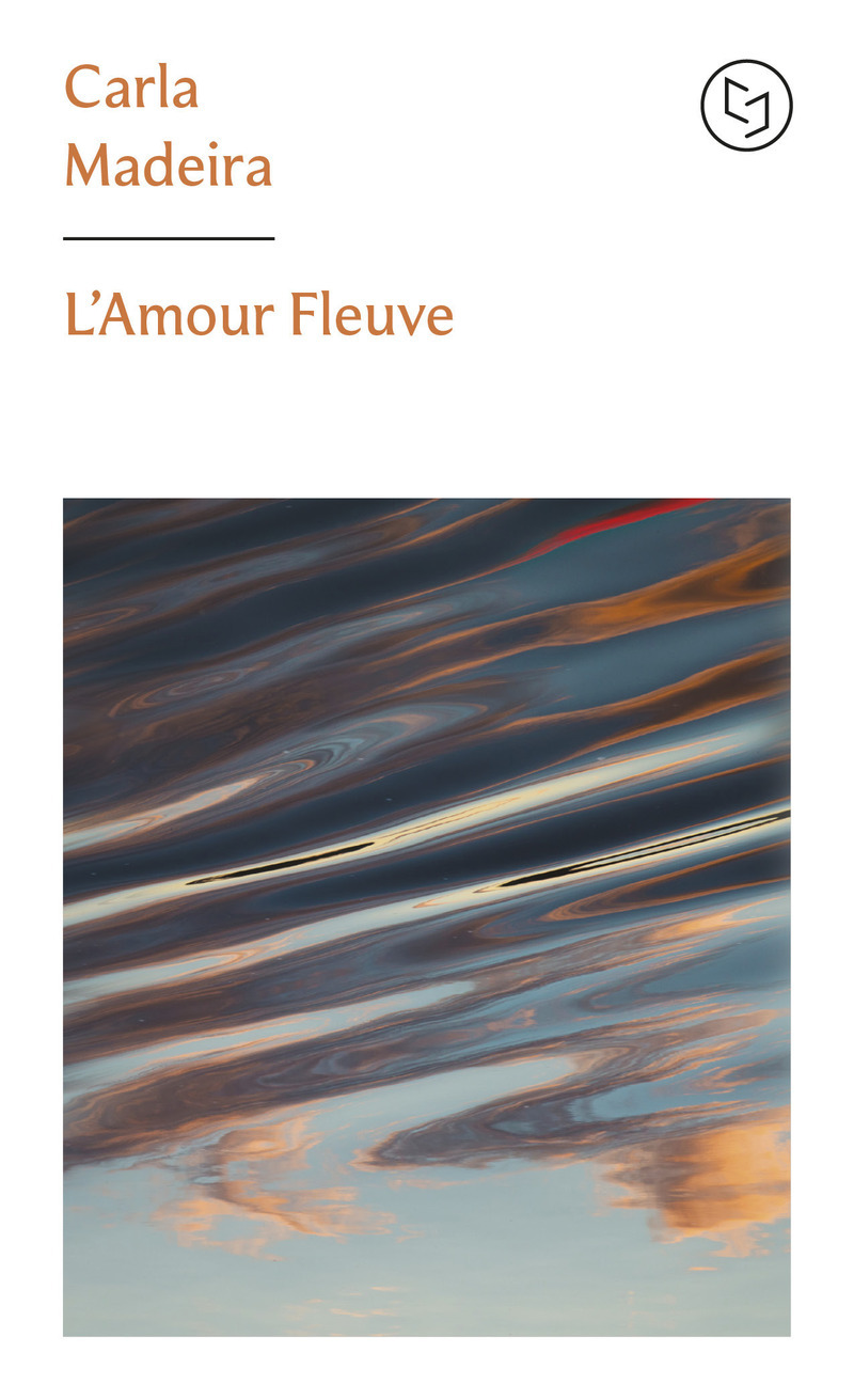 L'Amour-fleuve (9782266357630-front-cover)