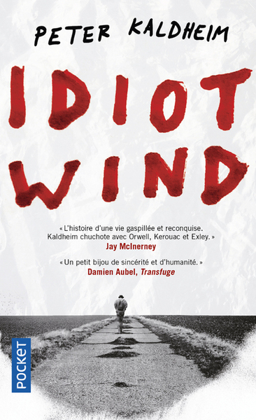 Idiot wind (9782266312837-front-cover)