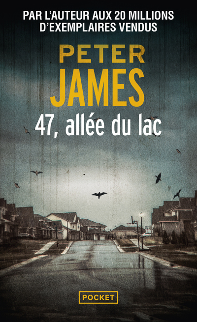 47, allée du lac (9782266337809-front-cover)