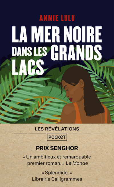 La Mer Noire dans les grands lacs (9782266322959-front-cover)