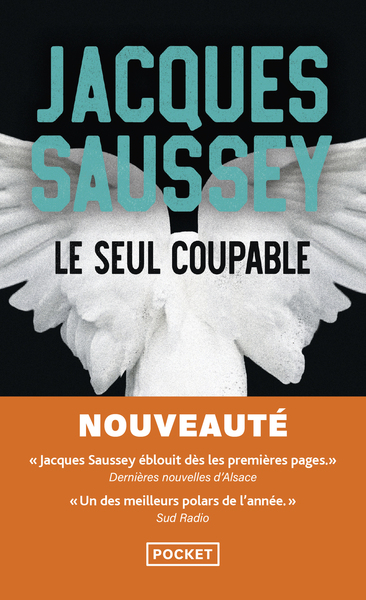 Le seul coupable (9782266352963-front-cover)