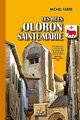 Les rues d'Oloron-Sainte-Marie - des origines à nos jours (9782824005522-front-cover)