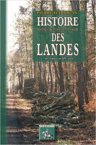Histoire politique, religieuse et littéraire des Landes (9782824002071-front-cover)