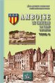 Amboise - le château, la ville et le canton (9782824001456-front-cover)