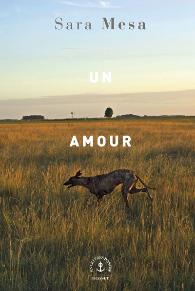 Un amour (9782246824657-front-cover)