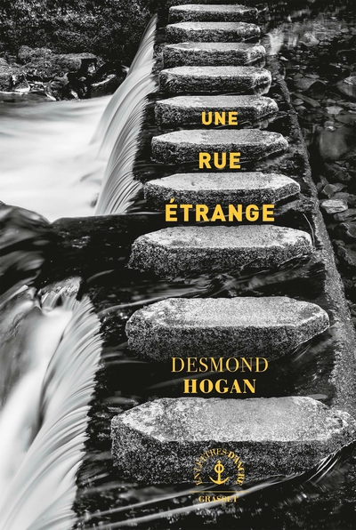 Une rue étrange, roman (9782246851004-front-cover)