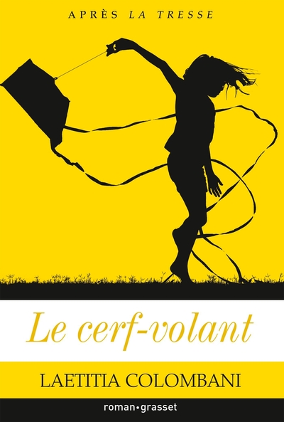 Le cerf-volant (9782246828808-front-cover)