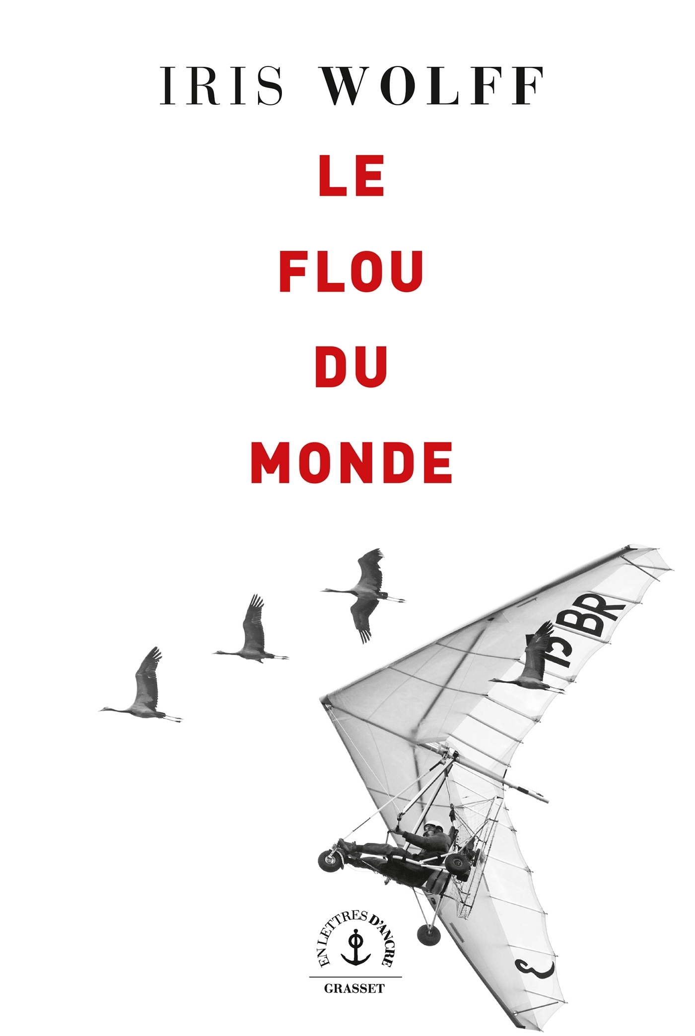 Le flou du monde (9782246827931-front-cover)