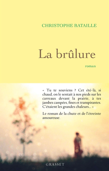La brûlure, roman (9782246820215-front-cover)