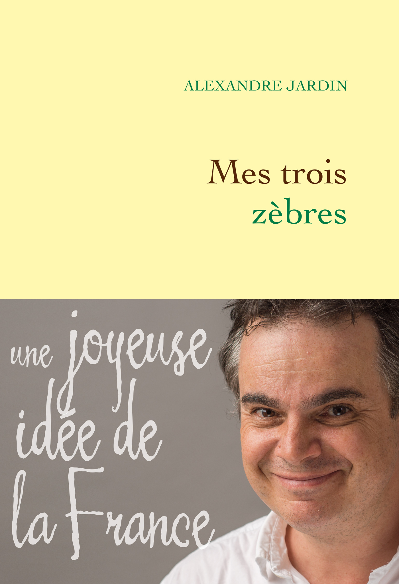 Mes trois zèbres (9782246804550-front-cover)