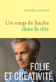 Un coup de hache dans la tête, Folie et créativité (9782246829577-front-cover)