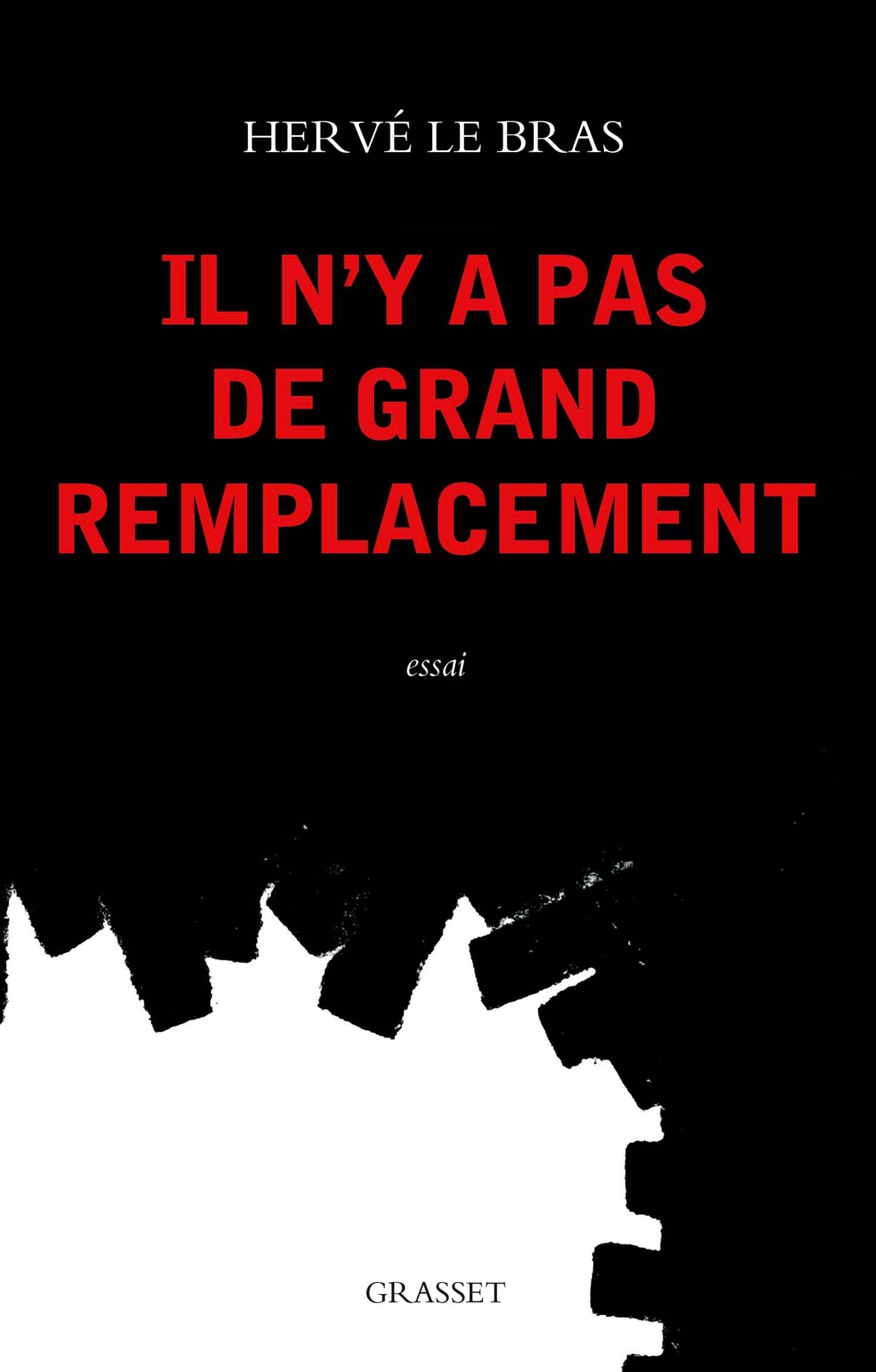 Il n'y a pas de grand remplacement (9782246831044-front-cover)