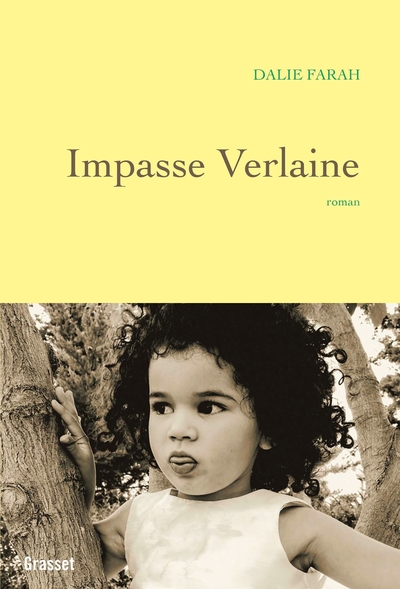 Impasse Verlaine, premier roman (9782246819417-front-cover)