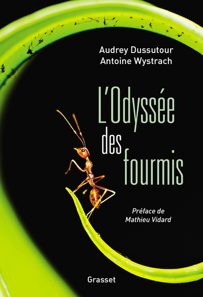 L'Odyssée des fourmis, Préface de Mathieu Vidard (9782246817192-front-cover)