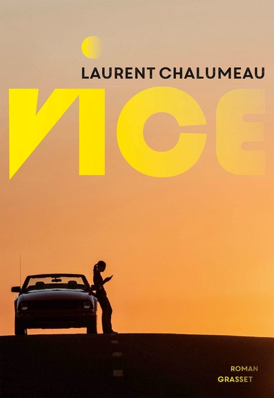 Vice (9782246824695-front-cover)