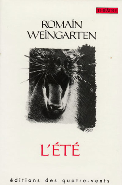 L' Ete (9782907468169-front-cover)