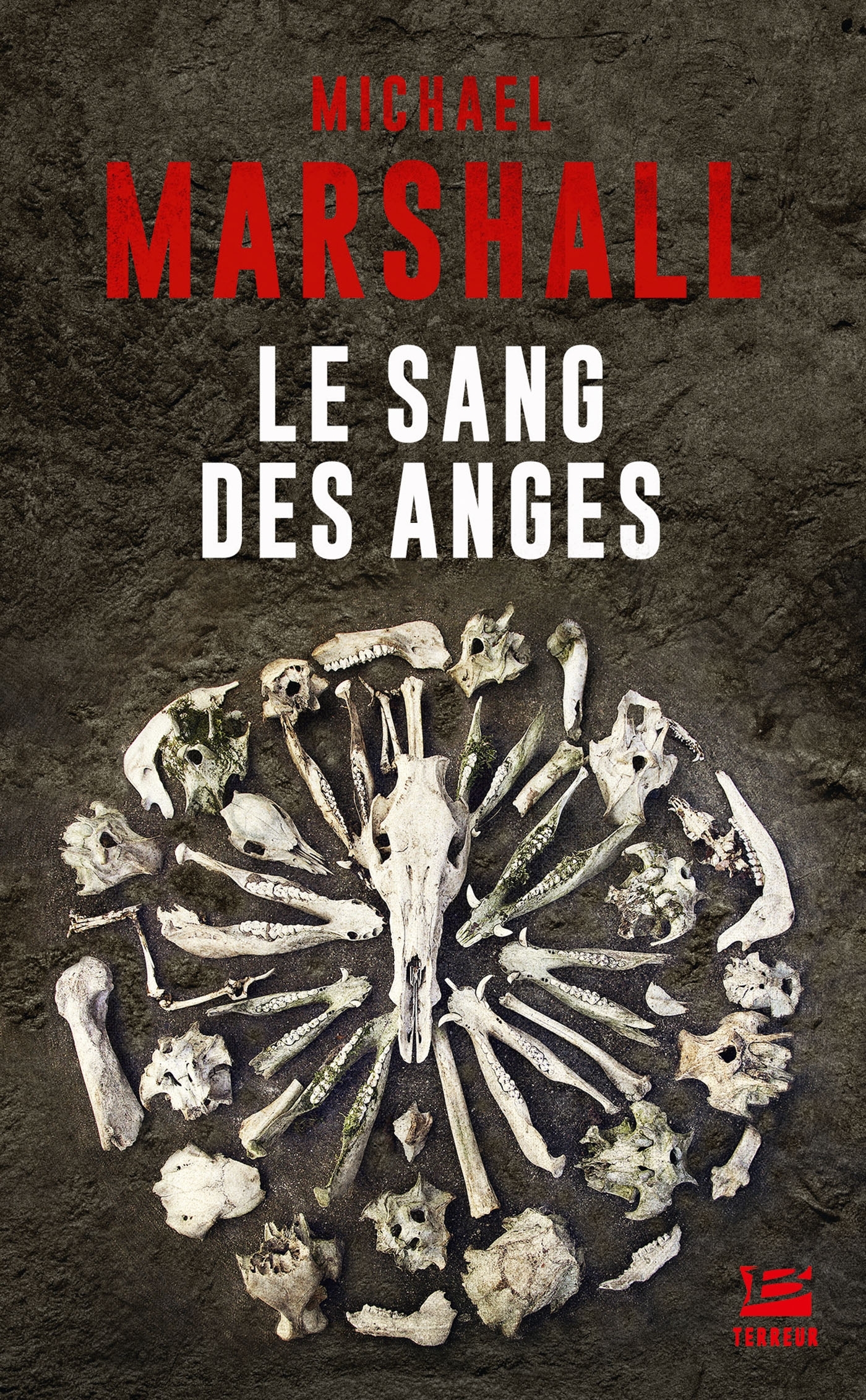 Le Sang des anges (9791028114787-front-cover)