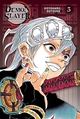 Demon Slayer - Edition Pilier T03 (9791039121651-front-cover)