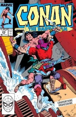 Conan le barbare : L'intégrale 1988-1989 (T23) (9791039146029-front-cover)