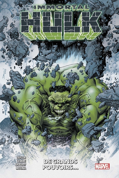 Immortal Hulk : À grands pouvoirs (9791039107754-front-cover)