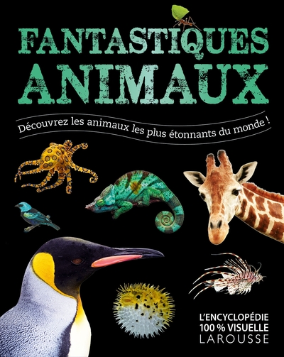 FANTASTIQUES ANIMAUX (9782035904812-front-cover)