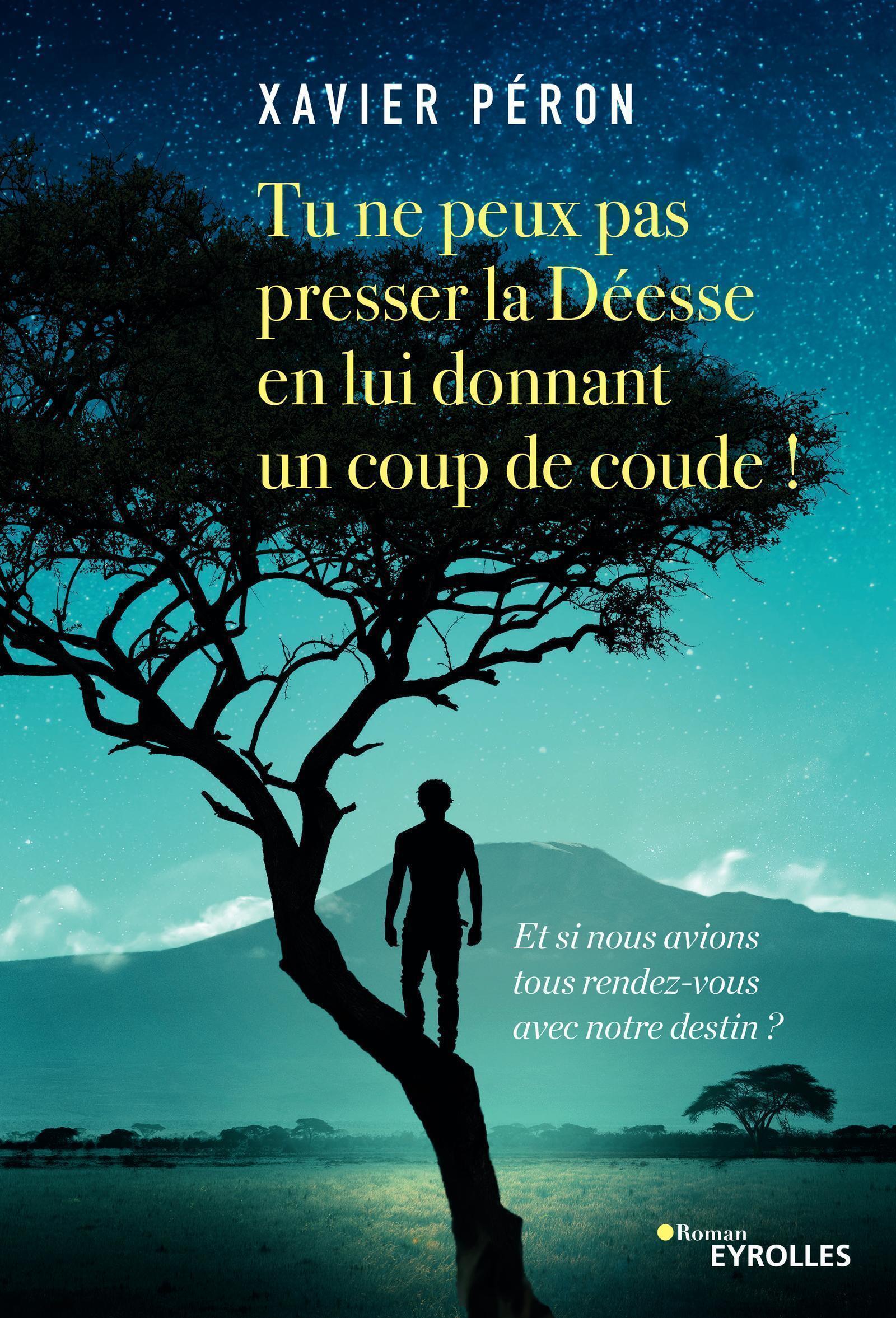 Tu ne peux pas presser la Déesse en lui donnant un coup de coude !, Et si nous avions tous rendez-vous avec notre destin ? (9782212568516-front-cover)