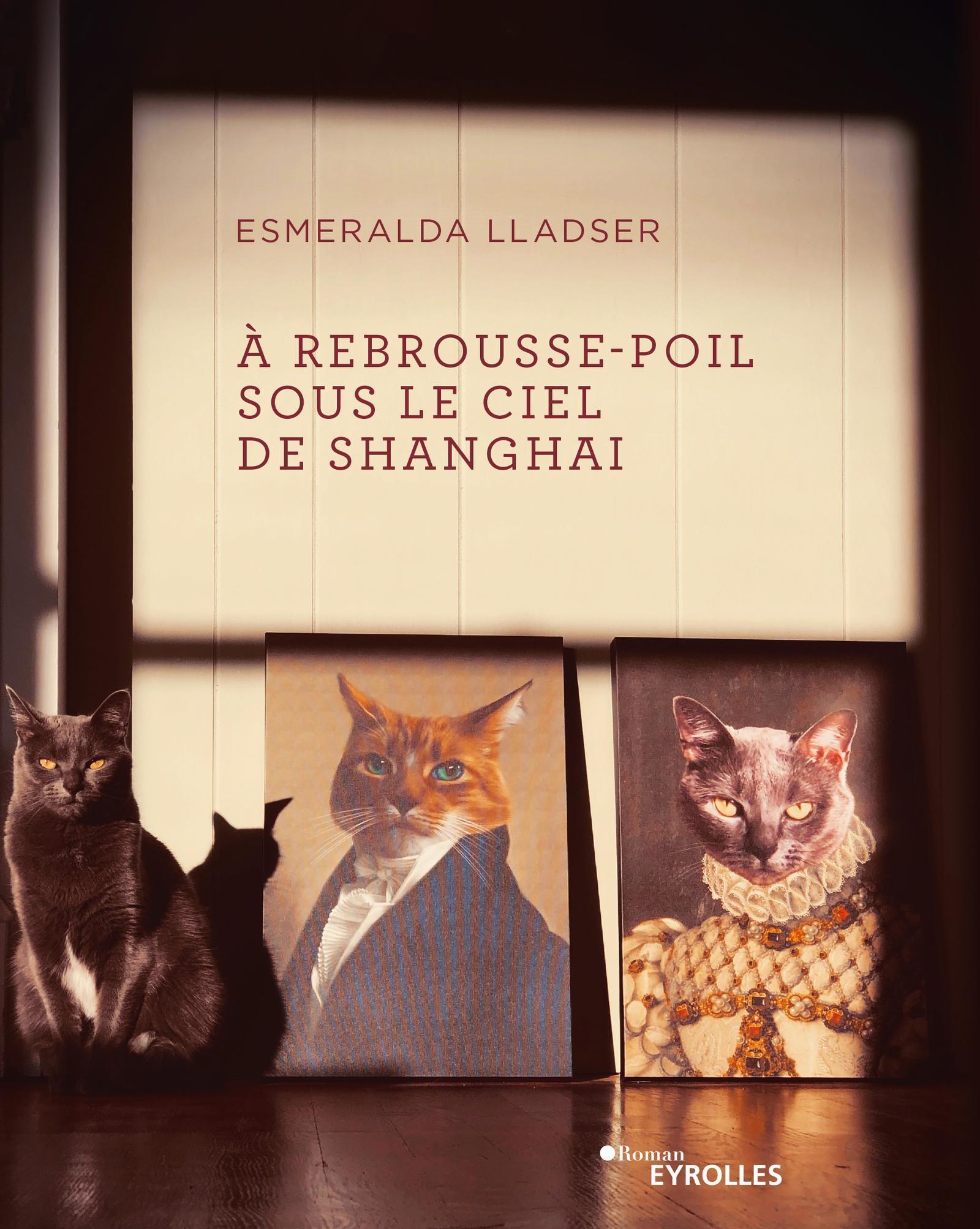 À rebrousse-poil sous le ciel de Shanghai (9782212573374-front-cover)