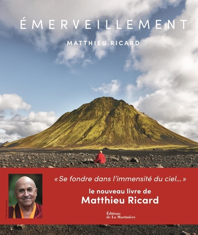 Emerveillement (9782732490960-front-cover)