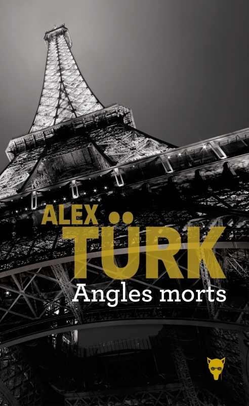 Angles morts (9782732493459-front-cover)