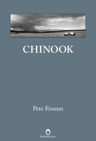 Chinook (9782351780411-front-cover)