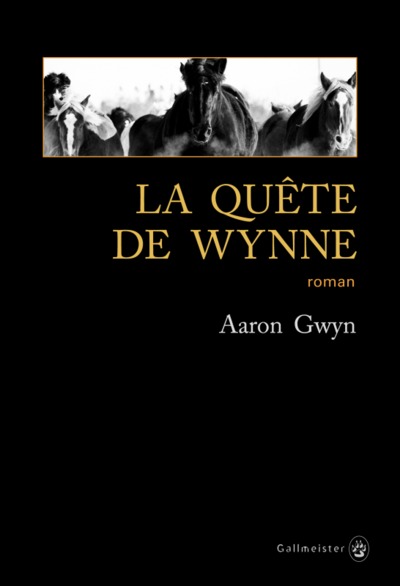 La Quête de Wynne (9782351780947-front-cover)