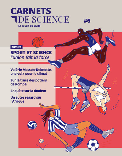 Carnets de science - tome 6 La revue du CNRS (9782271116826-front-cover)
