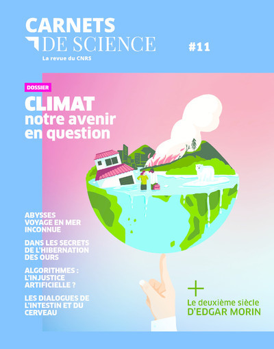 Carnets de Science - numéro 11 (9782271139009-front-cover)