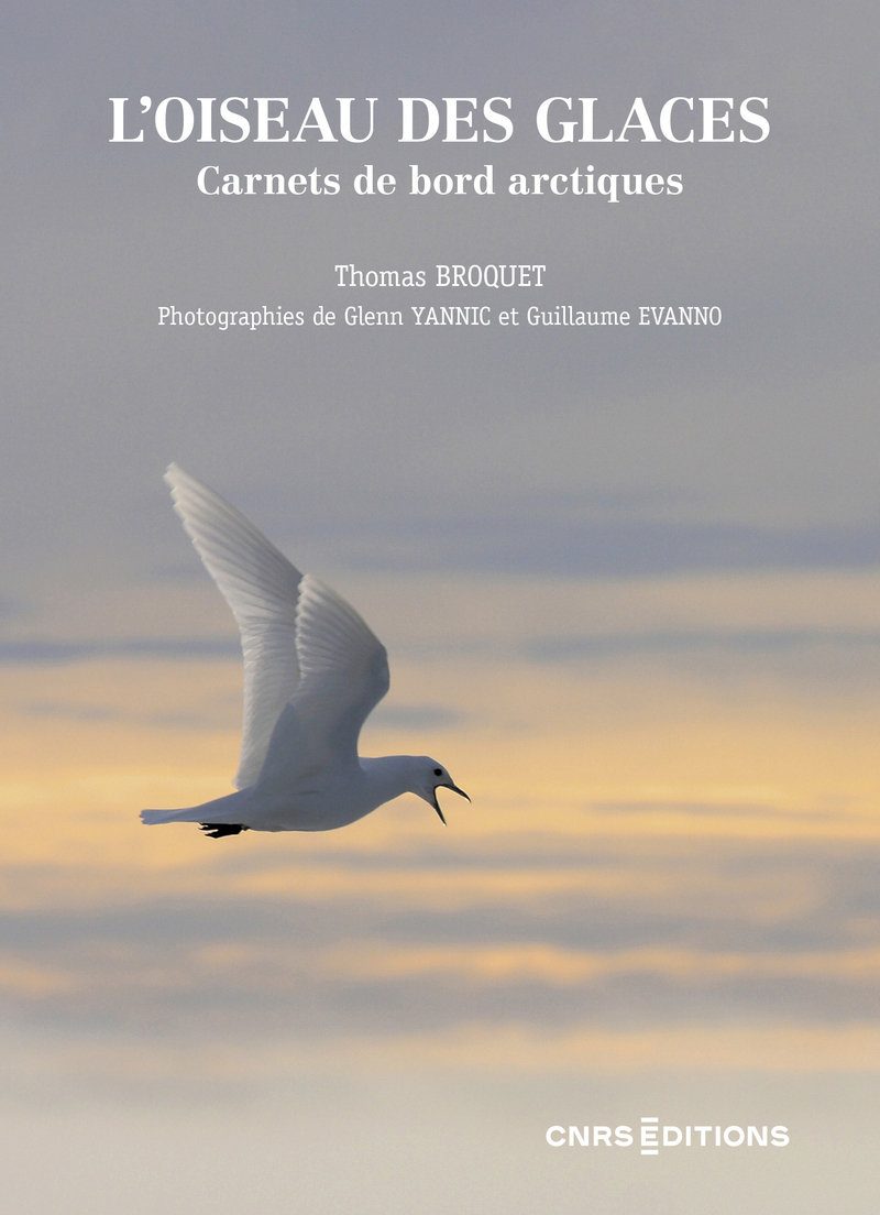 L'oiseau des glaces. Carnets de bord arctiques (9782271155597-front-cover)